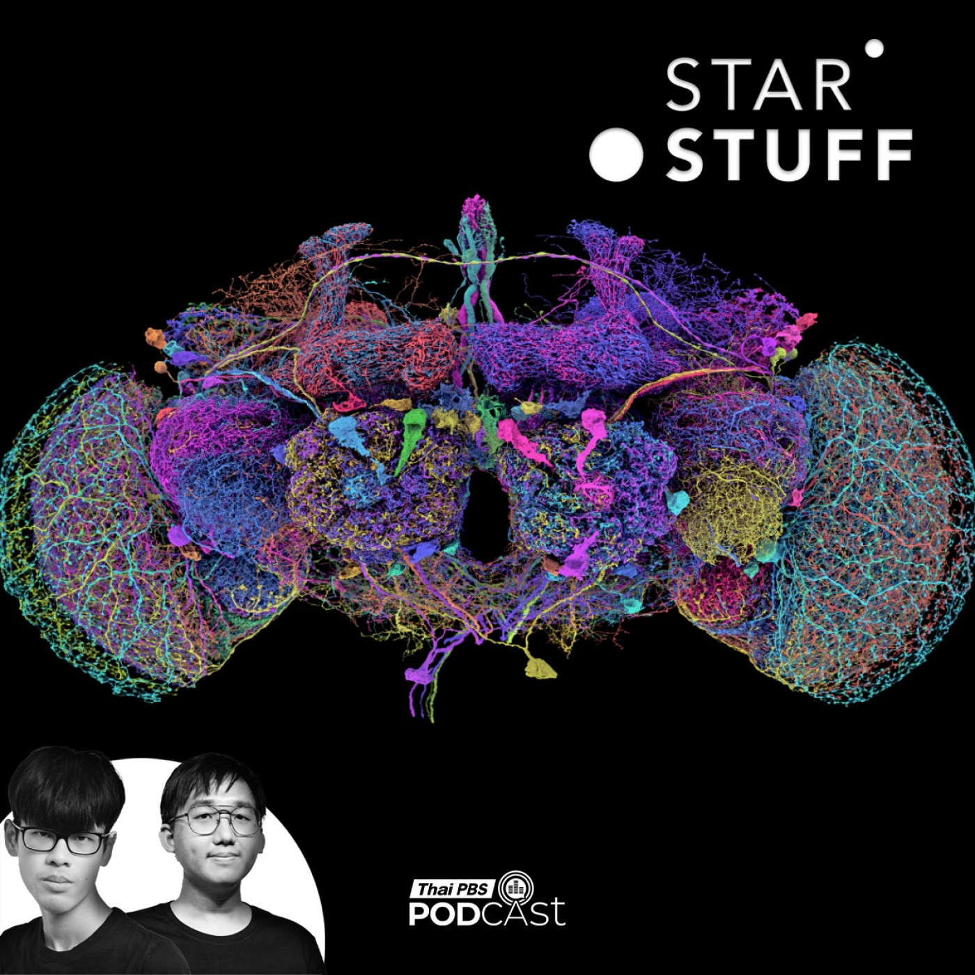 Starstuff  เรื่องเล่าจากดวงดาว