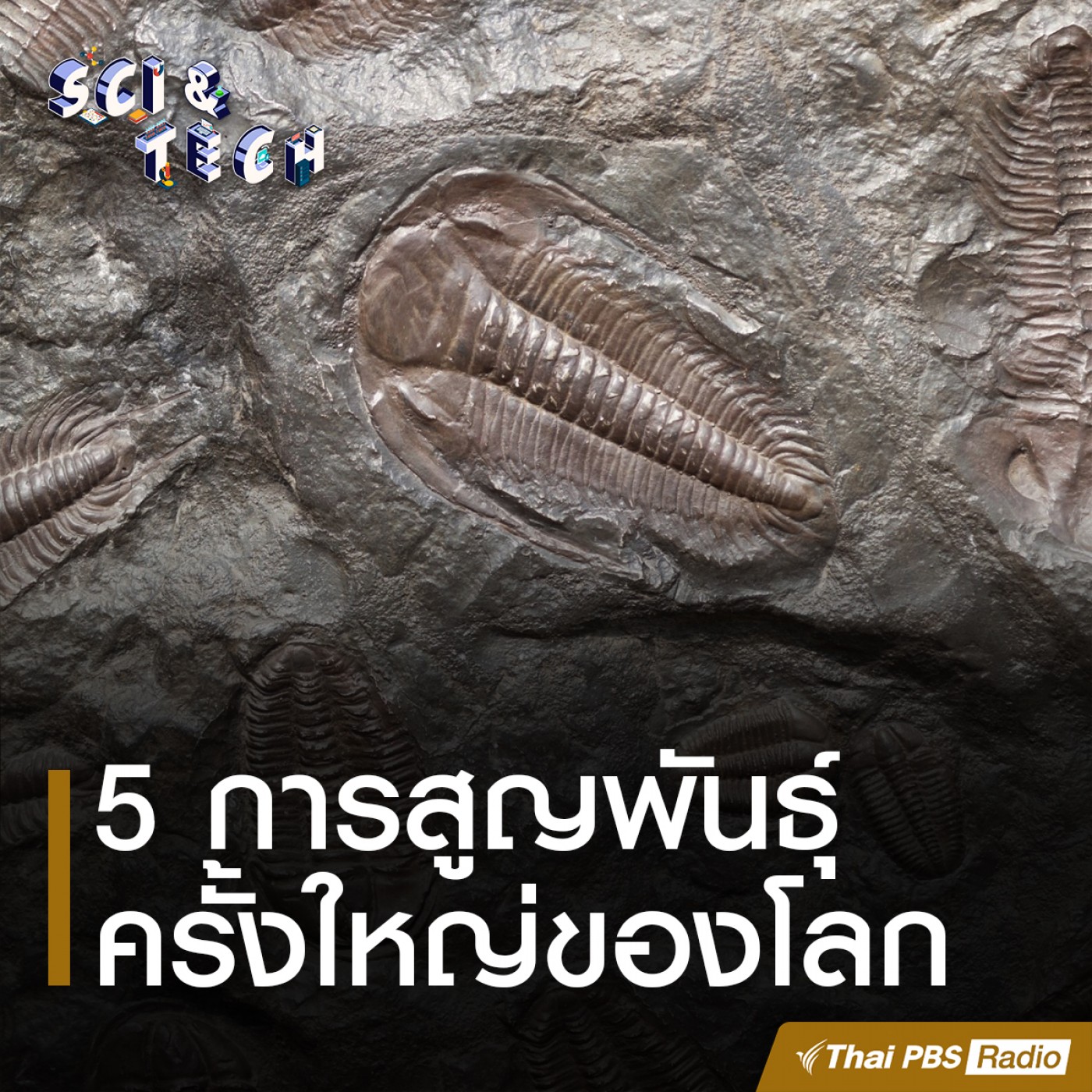 Sci &amp; Tech : 5 การสูญพันธุ์ครั้งใหญ่ของโลก episode artwork