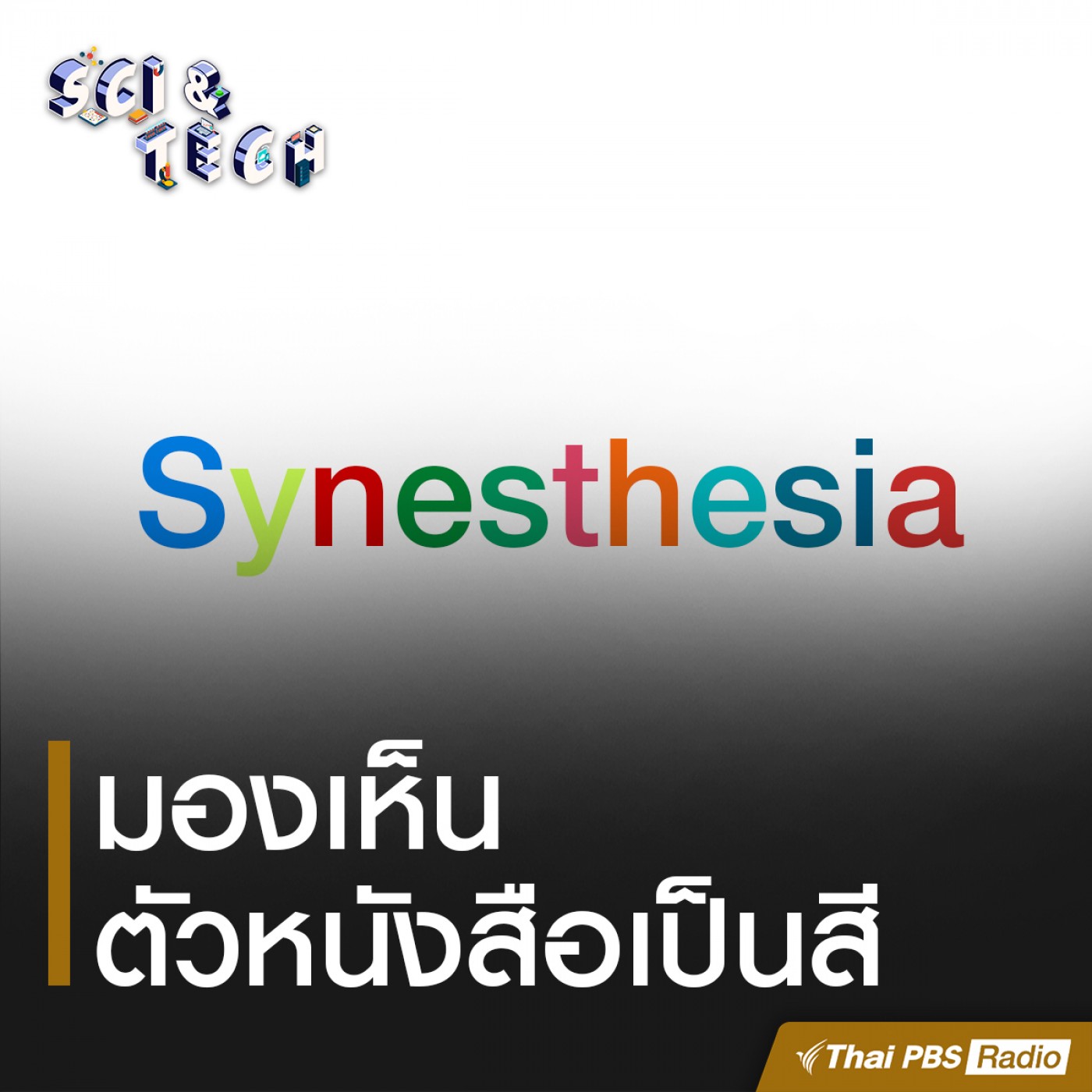 Sci &amp; Tech : Synesthesia มองเห็นตัวหนังสือเป็นสี episode artwork