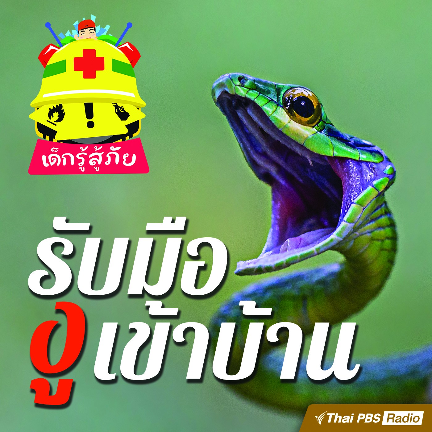 เด็กรู้สู้ภัย : รับมืองูเข้าบ้าน