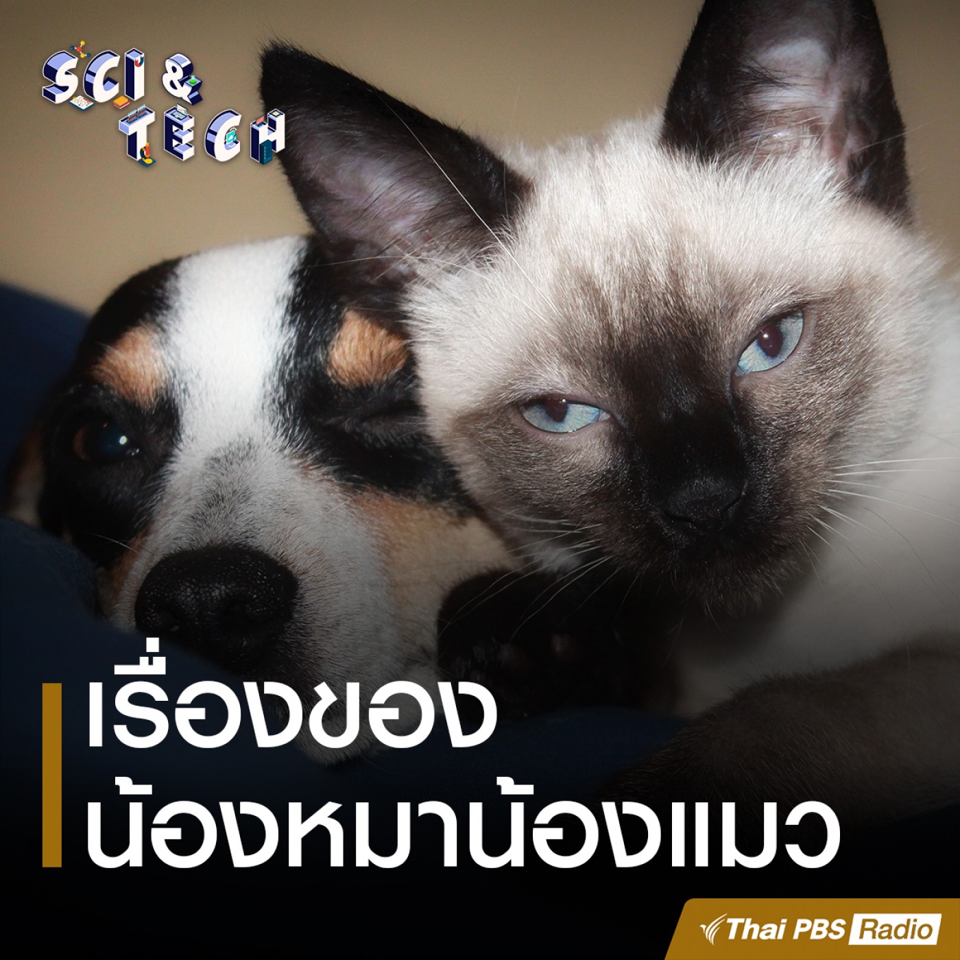 Sci &amp; Tech : เรื่องของน้องหมาน้องแมว episode artwork