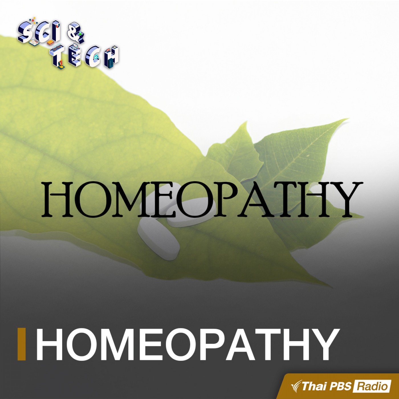 Sci &amp; Tech : Homeopathy การรักษาทางเลือก ดีจริงหรือ? episode artwork