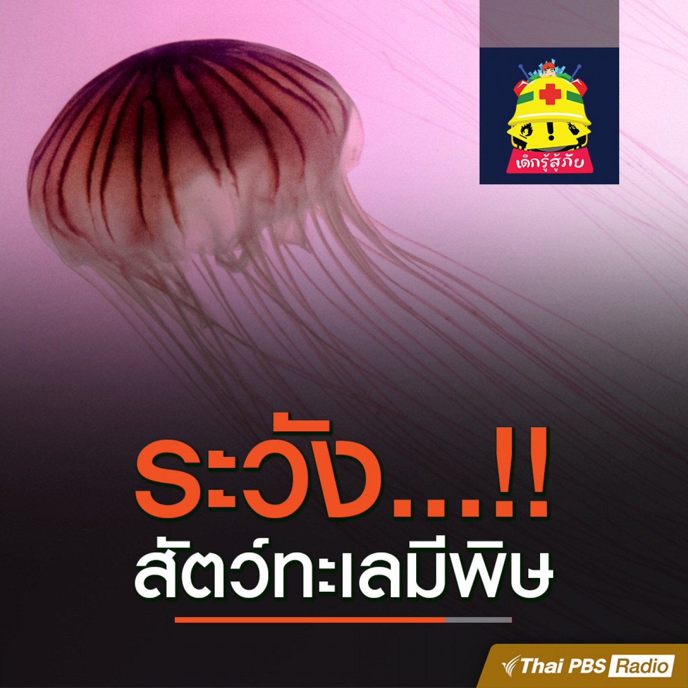 เด็กรู้สู้ภัย