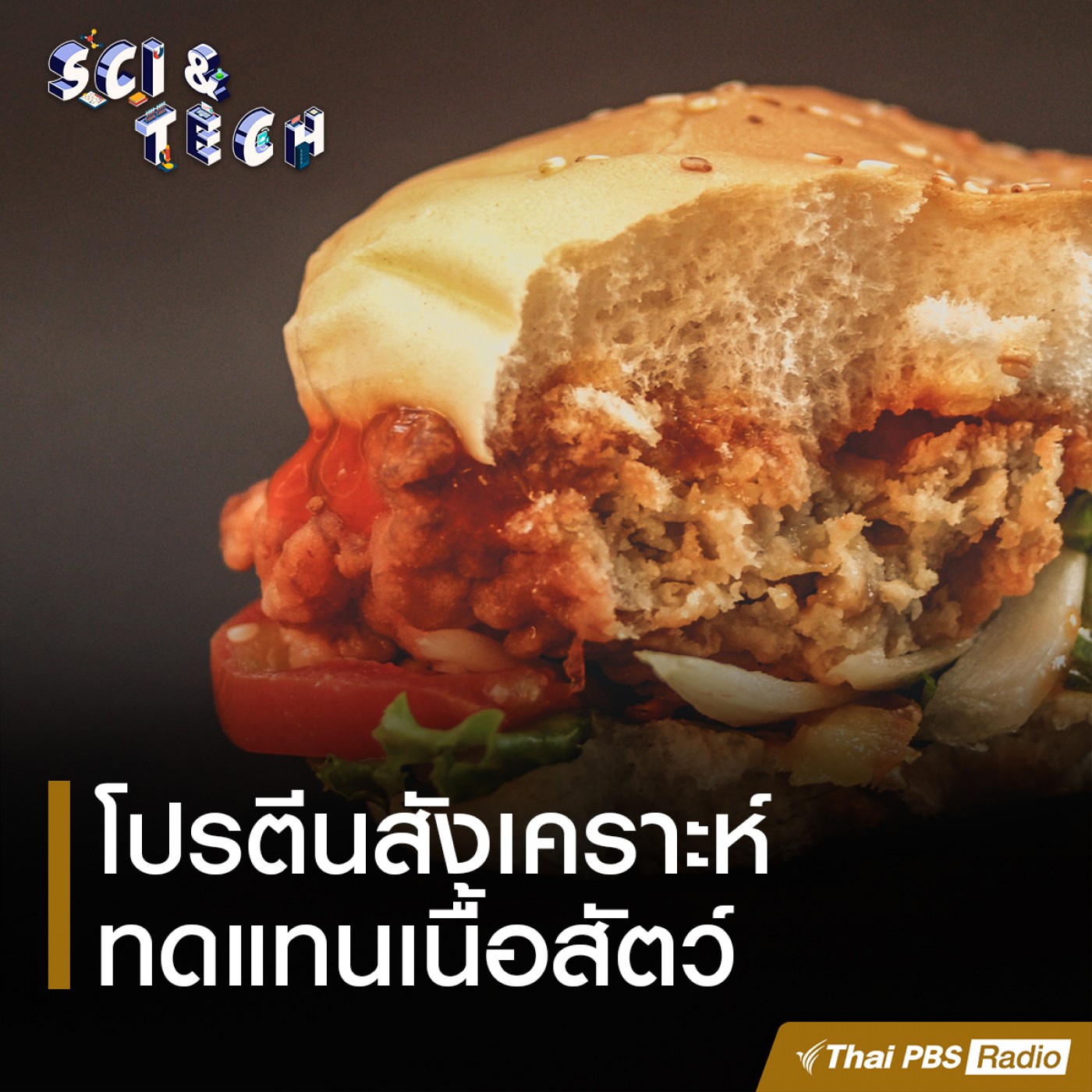 Sci &amp; Tech : โปรตีนสังเคราะห์ทดแทนเนื้อสัตว์ episode artwork