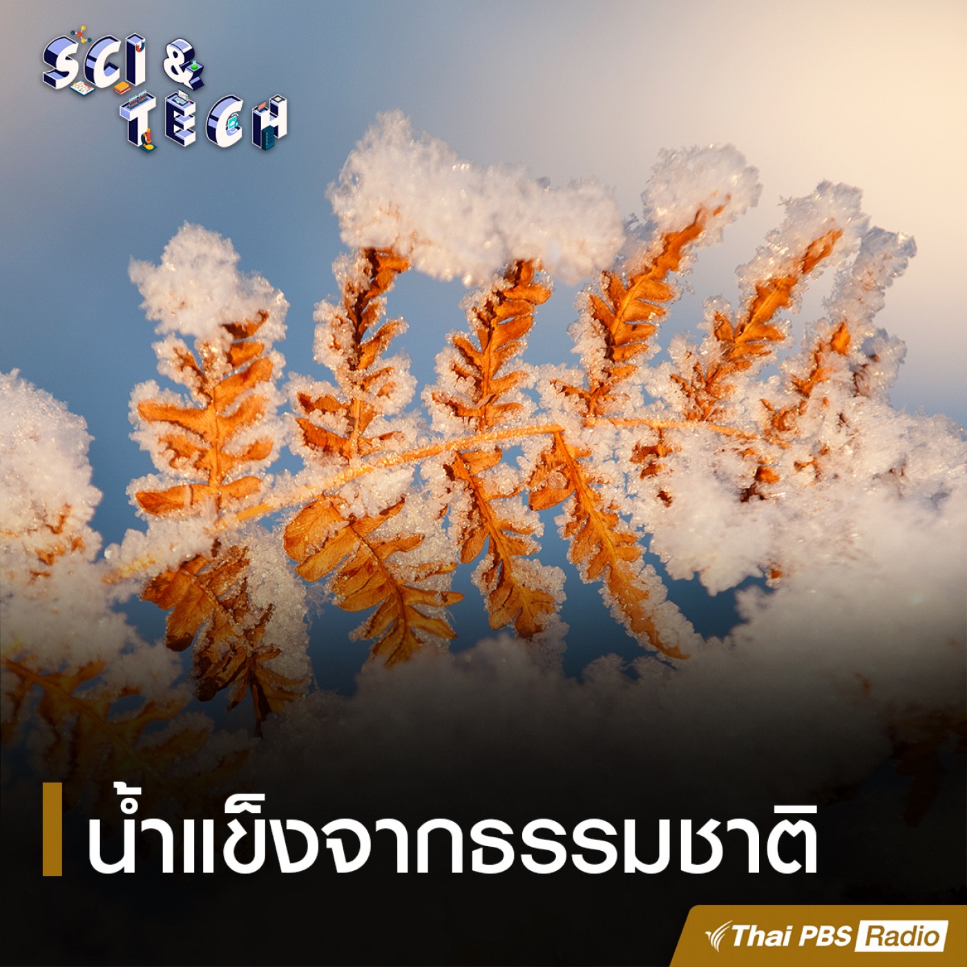Sci &amp; Tech : น้ำแข็งจากธรรมชาติ episode artwork