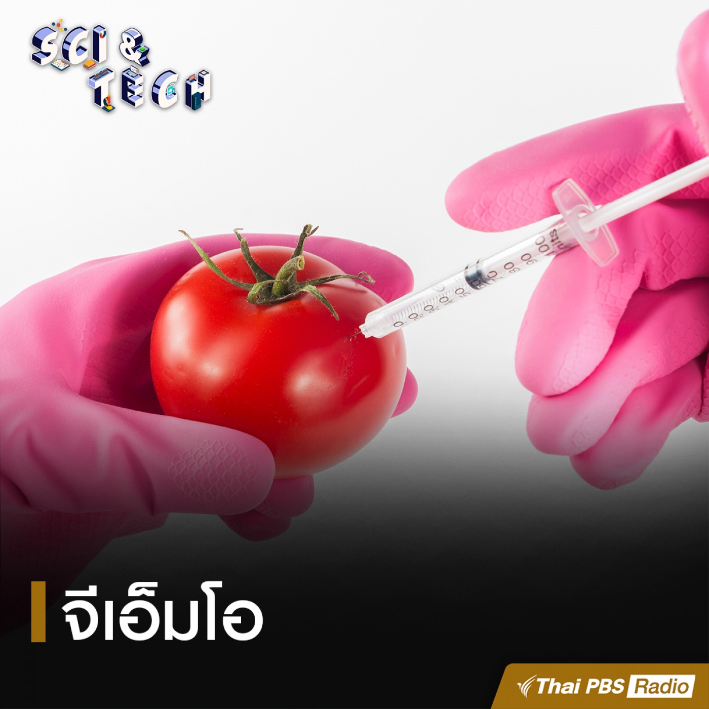 Sci &amp; Tech : จีเอ็มโอ episode artwork