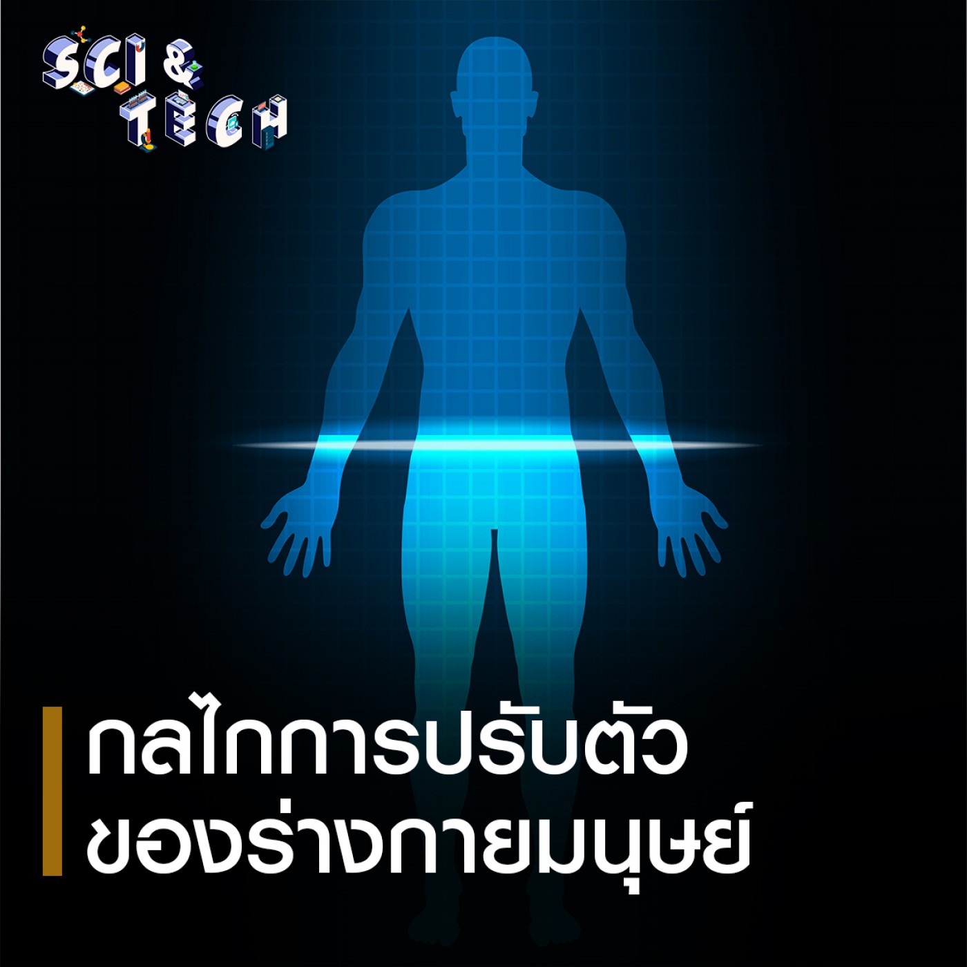 Sci &amp; Tech : กลไกการปรับตัวของร่างกายมนุษย์ episode artwork